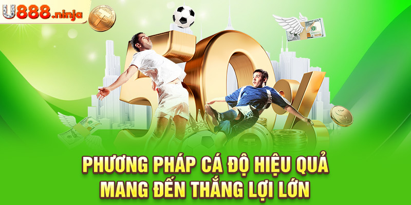 Phương pháp cá độ hiệu quả mang đến thắng lợi lớn